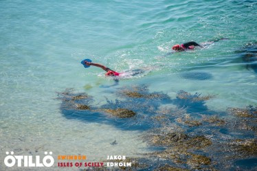 34621531933_879b9dc84c_o