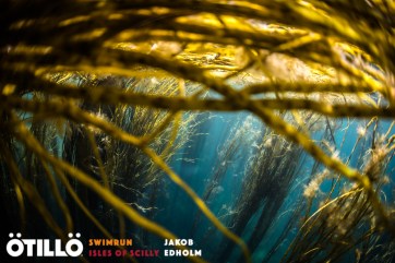 34621672783_69fd3521b3_o