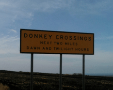DonkeyCrossing11.jpg